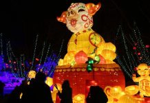 Festivalurile lampioanelor, o tradiţie chinezească Festivalurile lampioanelor