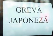 Greva japoneza in scolile din Covasna