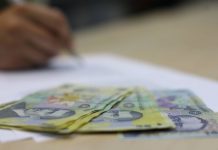 Cum vor fi stabilite salariile bugetarilor, in noua grila
