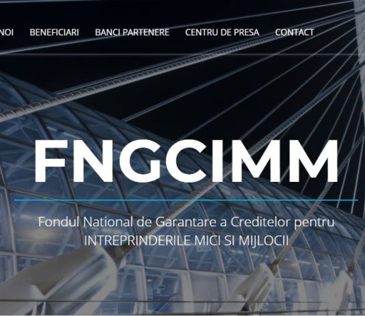 Garantiile FNGCIMM sporesc capacitatea de creditare a bancilor si le reduc costurile cu provizioanele