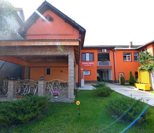 HATEG. Afaceri de familie politica pe banii statului