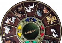 Anul sobolanului: avere si personalitate – Zodiacul chinezesc 2021
