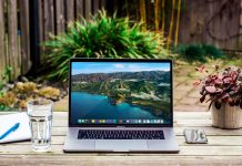 Gradina din birou – o investitie in imagine