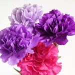 174 Mesaje De 8 Martie