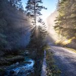 262 Mesaje De Buna Dimineata Noi