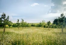 269 Citate Frumoase care sa te inspire in fiecare zi
