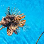 329 Citate Scurte Care iti vor schimba viata