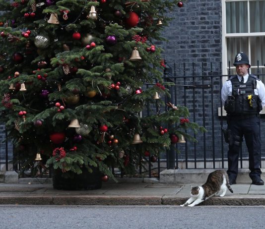 „Zilele lui Boris Johnson la guvernare sunt numarate”