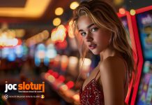 5 tipuri de sloturi online